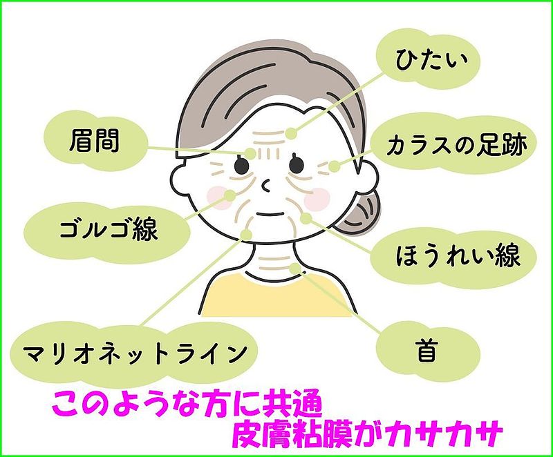 亀鹿仙 艶麗丹 亀鹿仙 艶麗丹