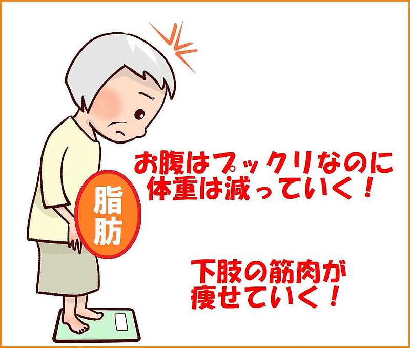 極 バイオリンク 極 バイオリンク