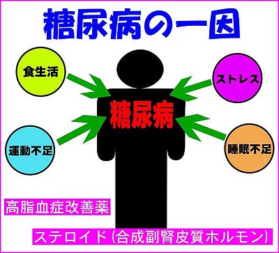 《痛くも痒くもないけれど恐～い「糖尿病」》