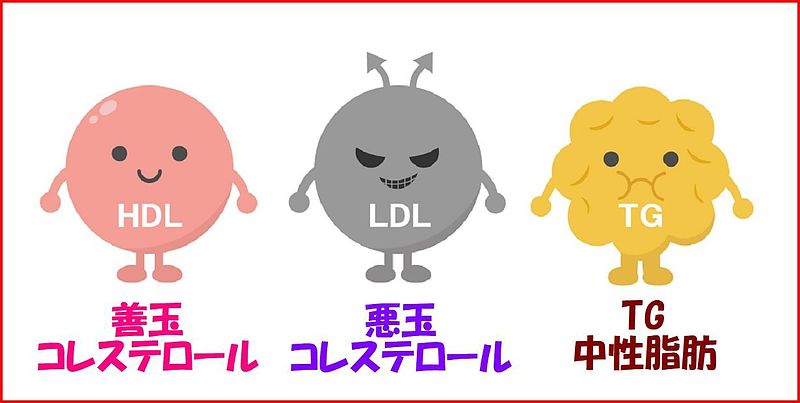 コレステロール