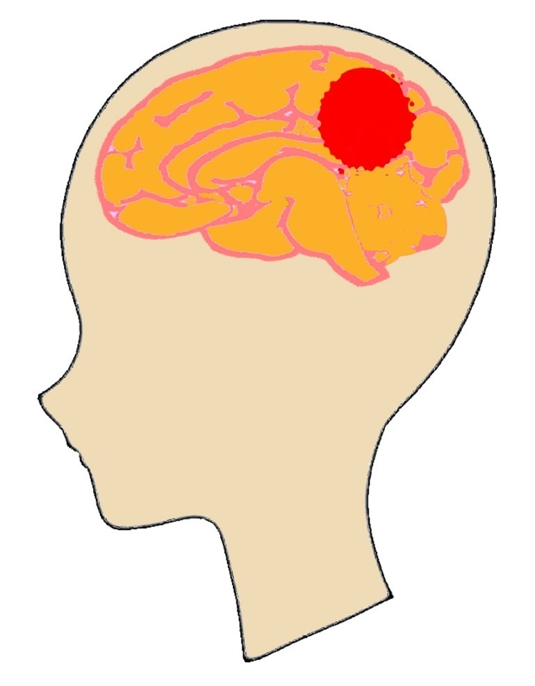 五浄心　冠元顆粒