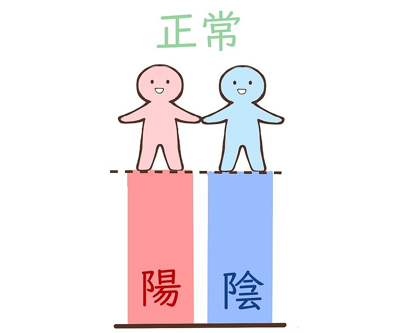 麦味参顆粒　陰陽