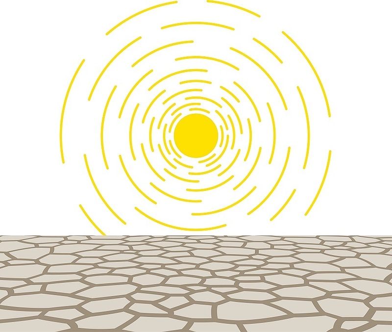 亀鹿仙　麦味参顆粒