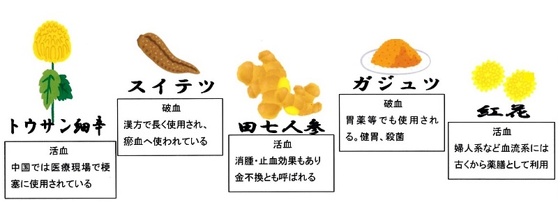 冠元顆粒　五浄心