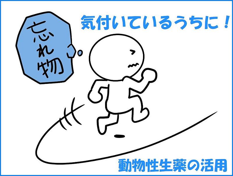 冠元顆粒　心脾顆粒