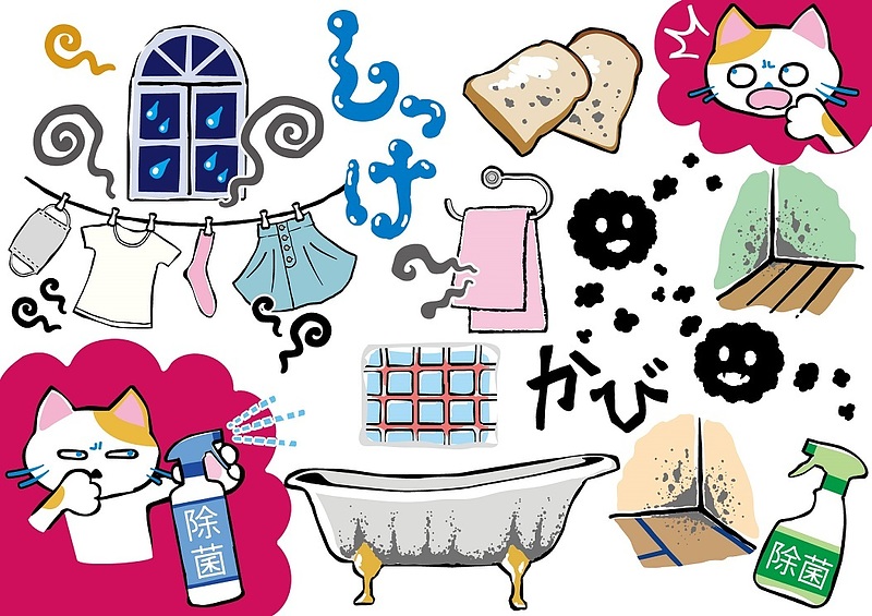 サメミロンカプセル