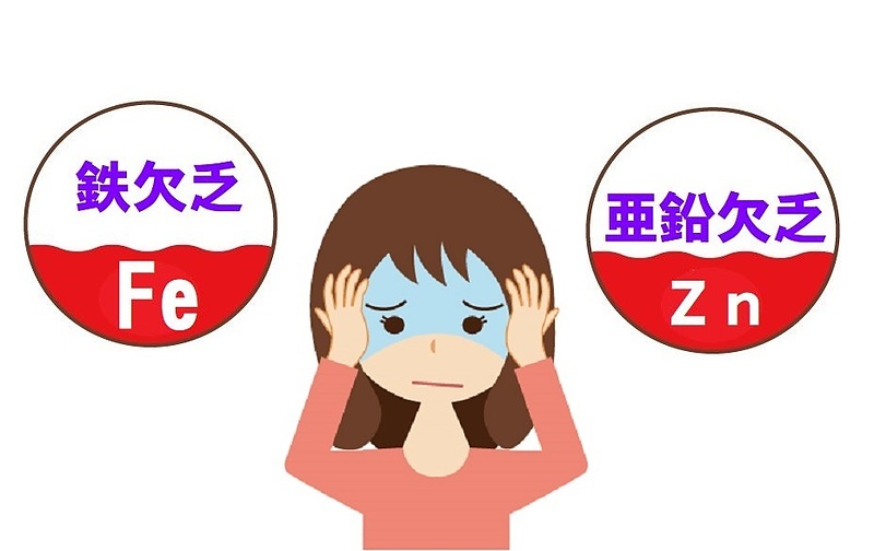 貧血　バイオリンク