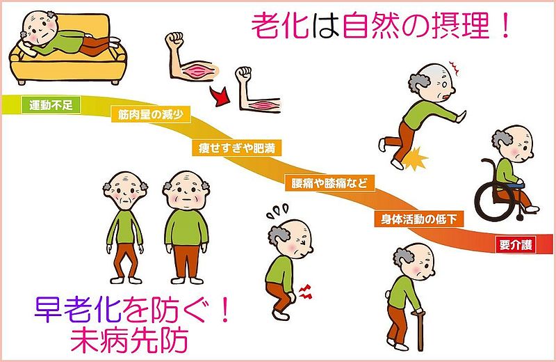 バイオリンク　早老化