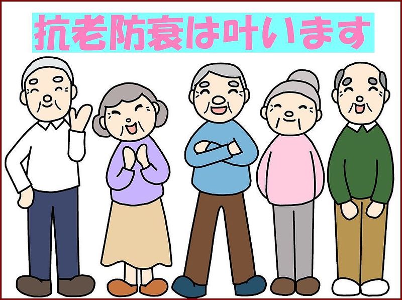 参馬補腎丸　冠元顆粒