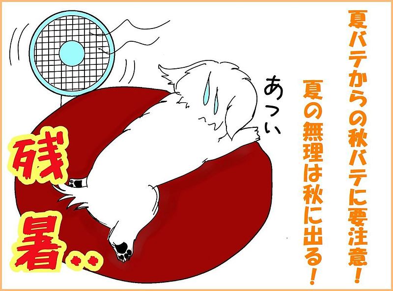 麦味参顆粒　忘憂歓