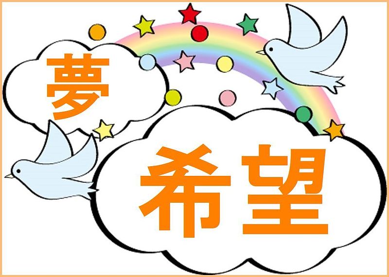 参馬補腎丸　天王補心丹T