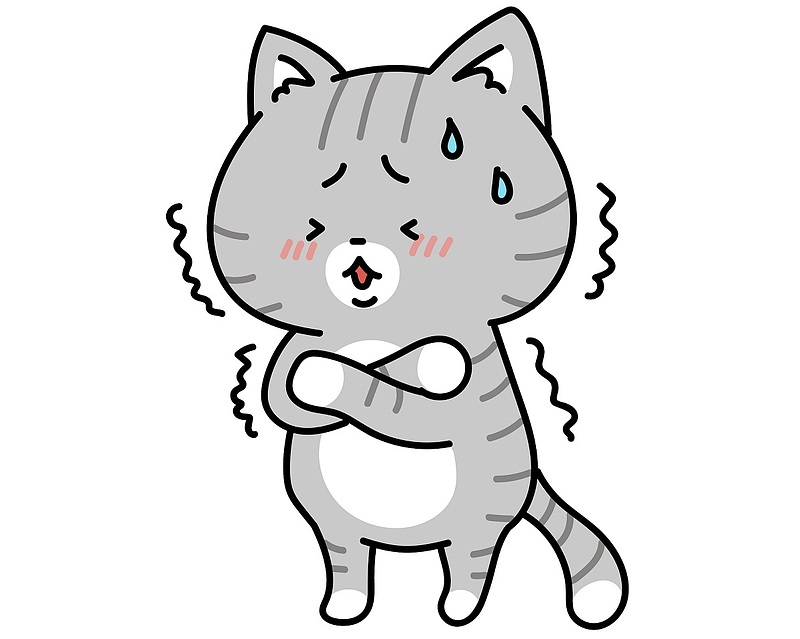 衛益顆粒　婦宝当帰膠