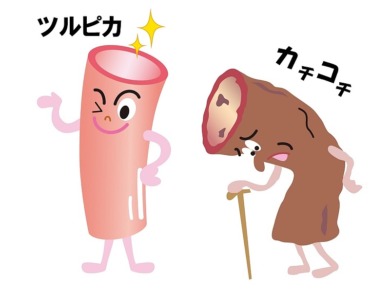 五浄心　冠元顆粒