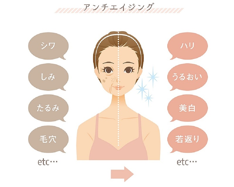 アンチエイジング