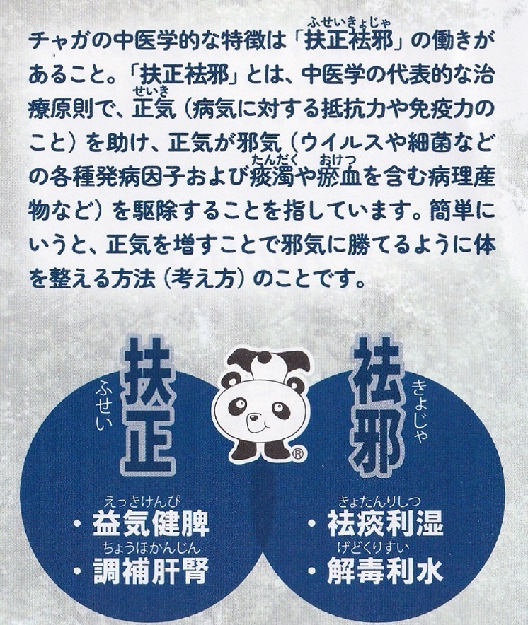 シベリア霊芝(チャガ) シベリア霊芝(チャガ)