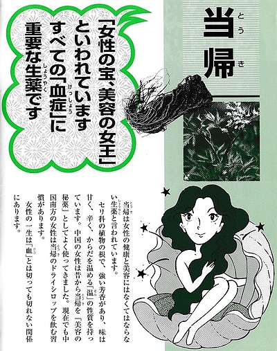 《女性を美しくする生薬》