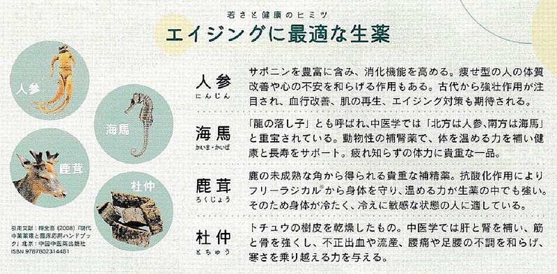 参馬補腎丸 参馬補腎丸