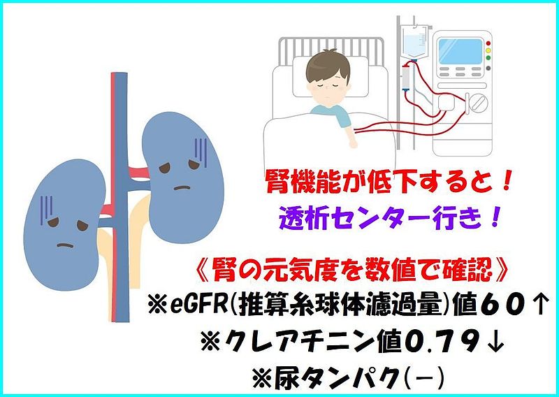 参馬補腎丸 参馬補腎丸