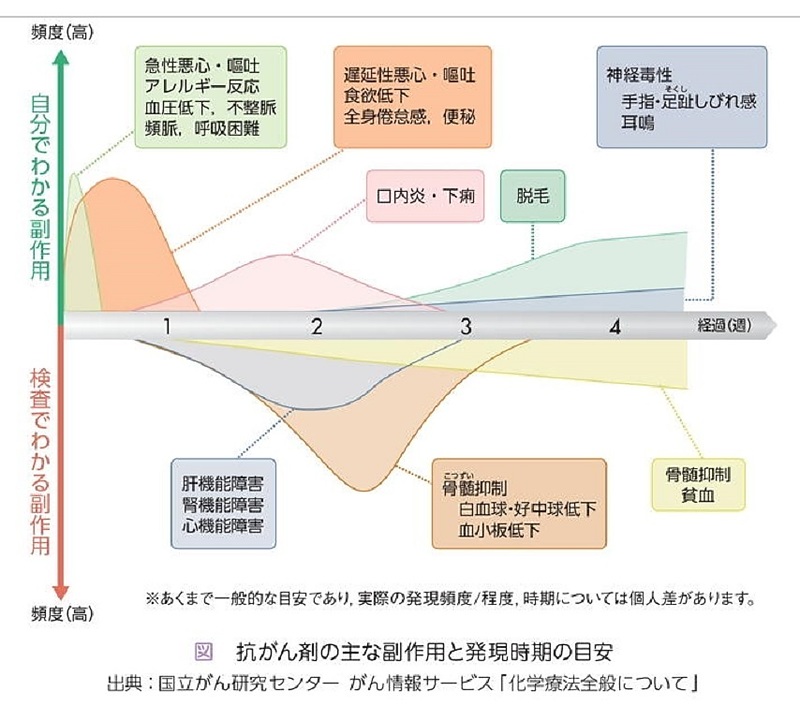 抗ガン剤 抗がん剤 抗ガン剤 抗がん剤