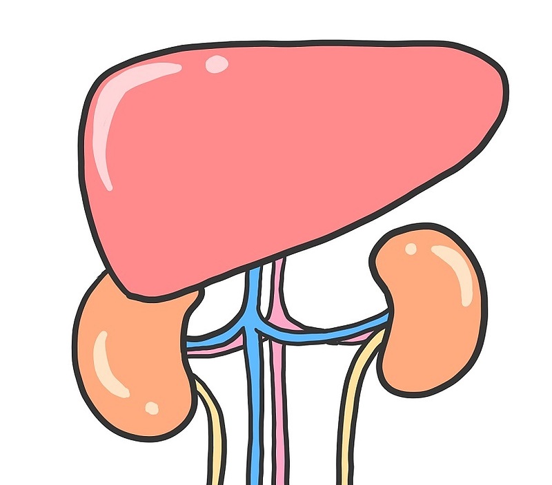 サメミロン サメミロン