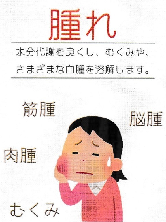 田七人参
