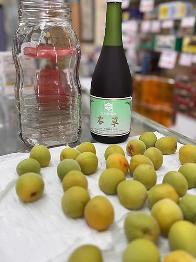 【梅雨から夏を元気に乗り切る薬膳養生】梅の酵素シロップで梅雨の健康管理を！