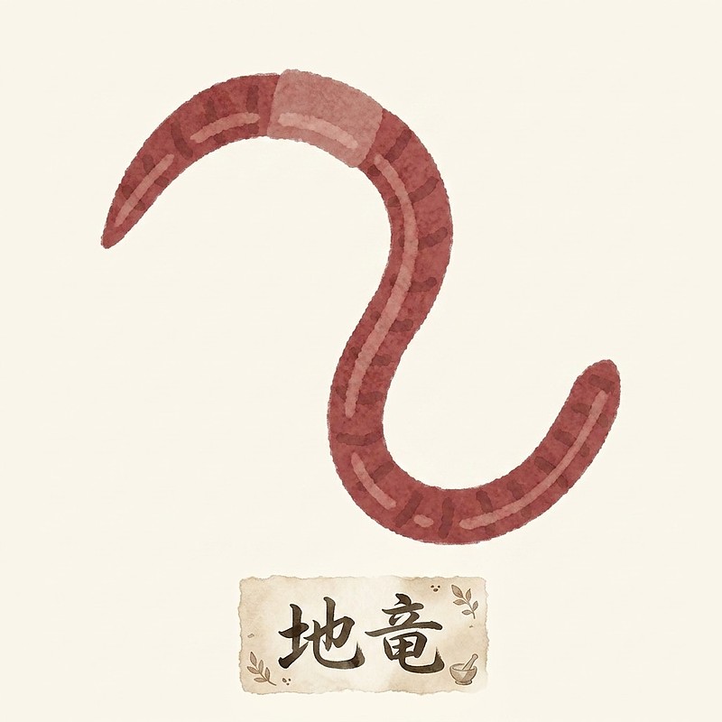 地竜　ミミズ