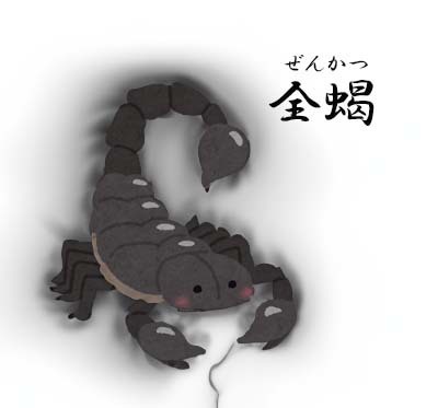 サソリ　全蠍