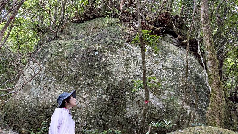 屋久島の森では巨大な花崗岩に樹木が根を張り巡らし、恵まれた環境でなくても力強く生き抜いているように50歳からの人生も工夫しながら芯を持って生き抜きたいと決意する松山友美