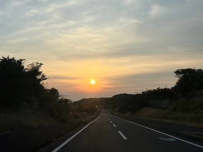 迷いを手放すことが、自律神経と腸を守る