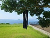 洗いざらしのジーパン一つ~(^^♪―隣のおばさんが我慢できなかった話―