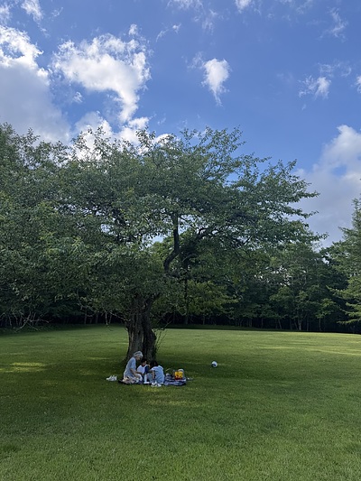 ネガティブジャパン―そういえば、ずっとそんな空気の中でここまで来たなあ―