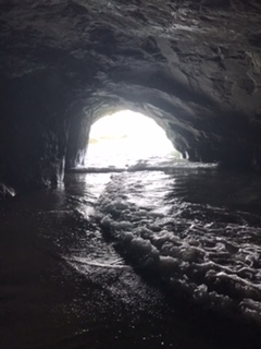 種子島・千座の岩屋