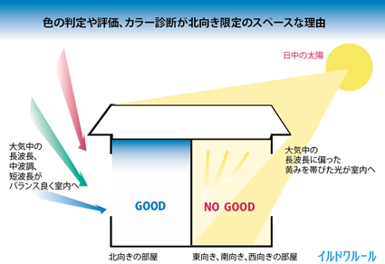 パーソナルカラー3.0自然光解説イルドクルール