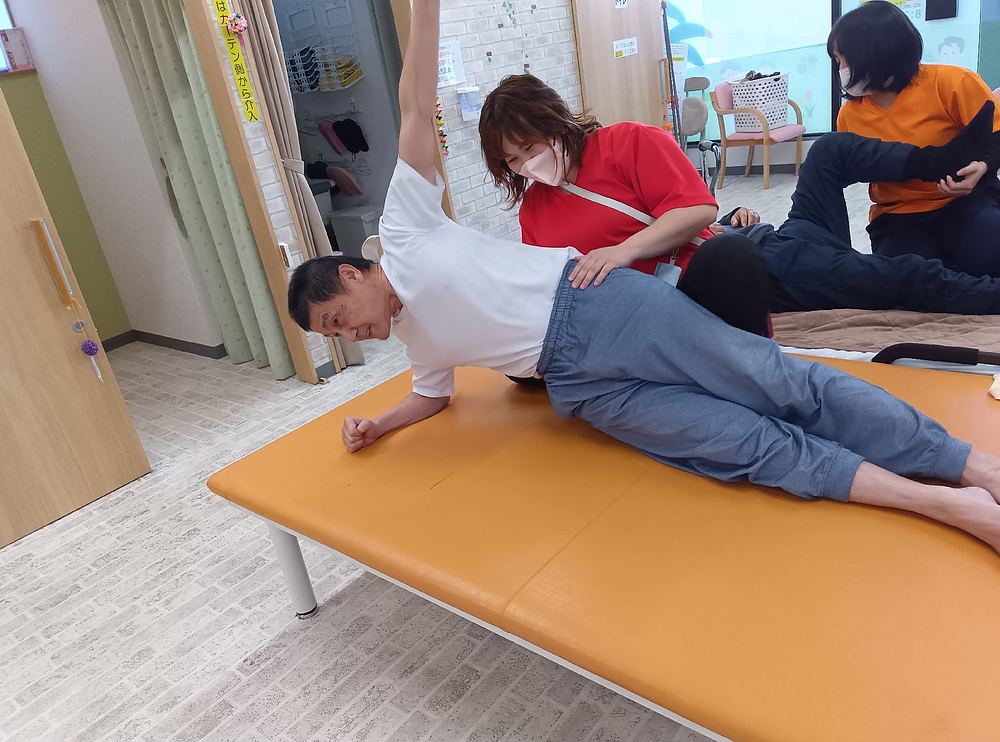 園田朋美 そのだともみ