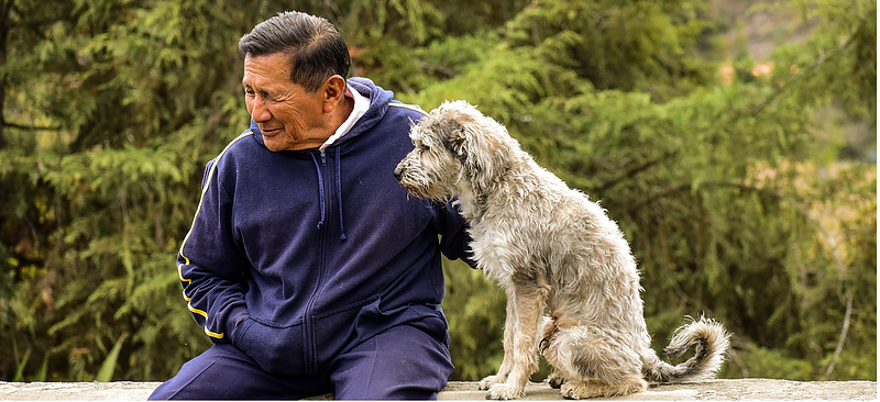 老人と犬