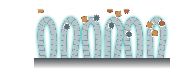 カーペットコーティング