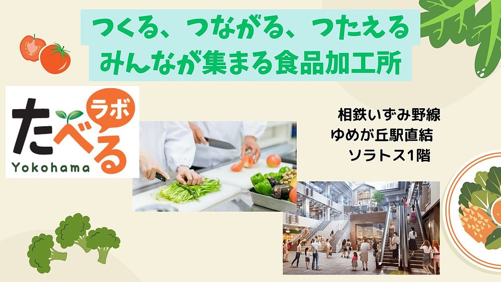 長谷川哲雄 はせがわてつお