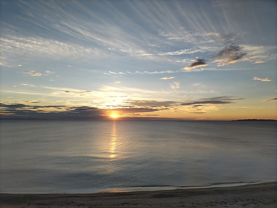 現場の経験を、制度につなぐ。 畜産経営が「話せない」「伝わらない」で止まってしまう理由と、経営の「橋渡し役」という選択。