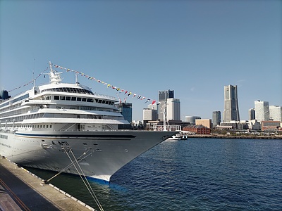 「停電で動かない獣舎の扉」―東日本大震災で動物園が直面した現実と動物飼育施設におけるBCPの必要性