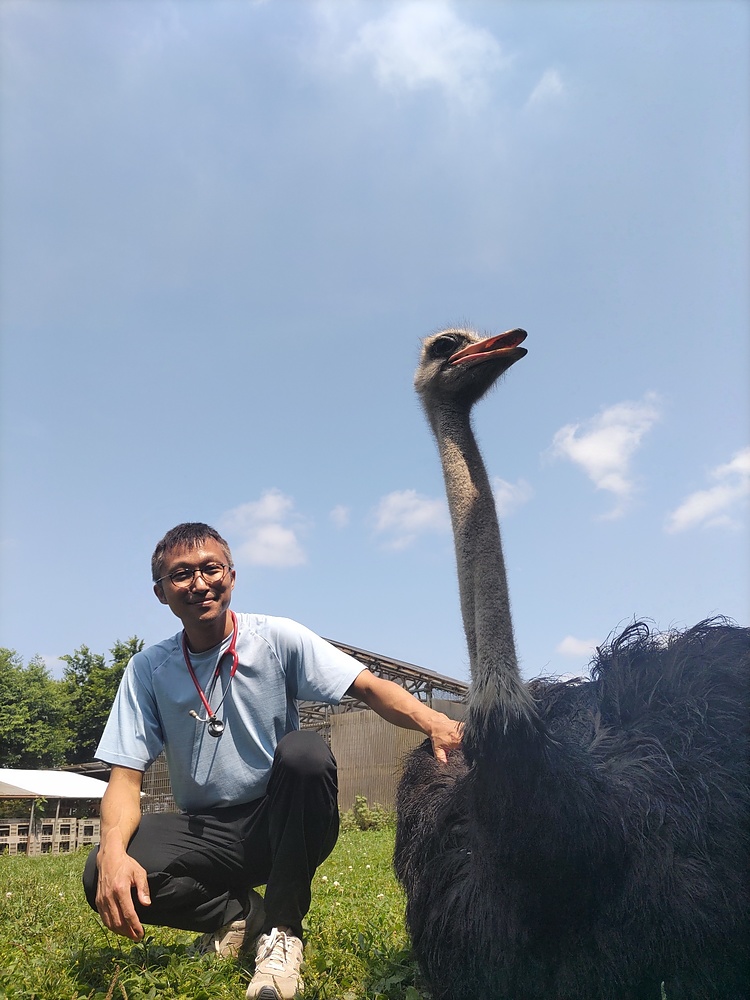 木戸伸英 きどのぶひで