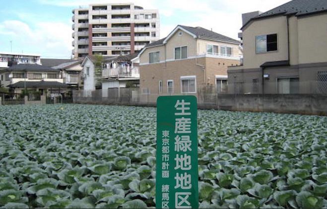 相模原市町田市八王子市の生産緑地対策なら不動産相談の専門家（有）リビングホーム