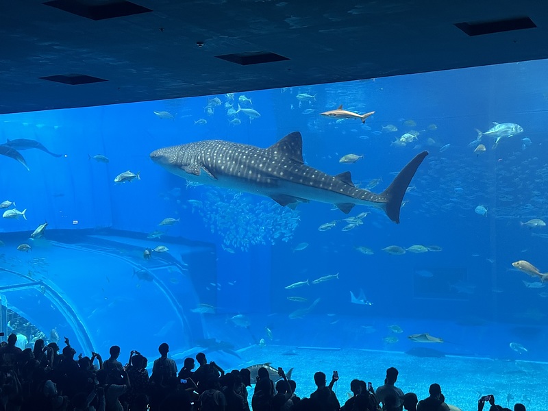 顧客に寄り添う不動産コンサルティング・不動産相談の専門家不動産コンサルティングマスターリビングホーム加藤勉