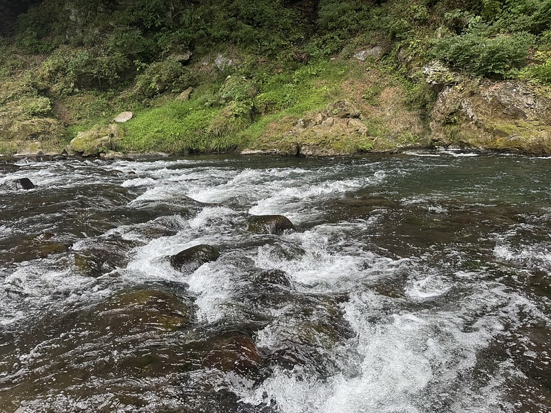 顧客に寄り添う不動産コンサルティング・不動産相談の専門家不動産コンサルティングマスターリビングホーム加藤勉