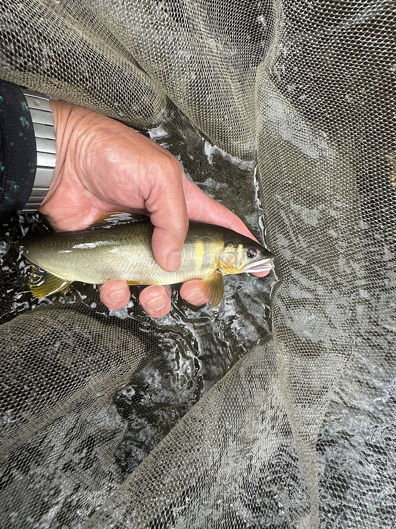 顧客に寄り添う不動産コンサルティング・不動産相談の専門家不動産コンサルティングマスターリビングホーム加藤勉