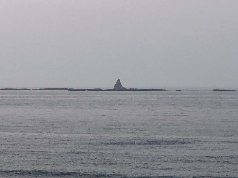 橋本茅ヶ崎東海岸のナイトウォーク2025不動産相談の専門家リビングホームアクティビティ