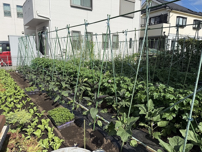 相模原市町田市八王子市不動産コンサル売買査定買取相続相談の専門家リビングホーム加藤勉 相模原市町田市八王子市不動産コンサル売買査定買取相続相談の専門家リビングホーム加藤勉