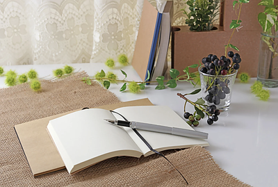 宿題を嫌がるのは才能のサイン？勉強嫌いにさせないために母ができる『環境の微調整』