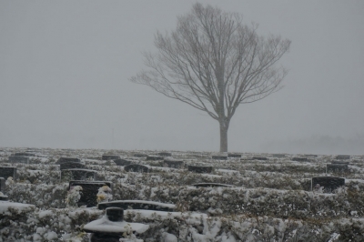 雪の墓地