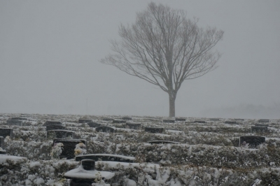 雪の墓地